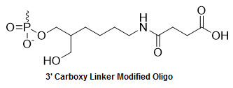 Bio-Synthesis Inc. Oligo Structure